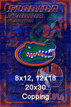 Florida Gators Poster, University of Florida Gift, Gators Man Cave, Florida Print
