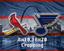 St. Louis Sports Teams Poster,  St. Louis Cardinals St. Louis Blues Poster