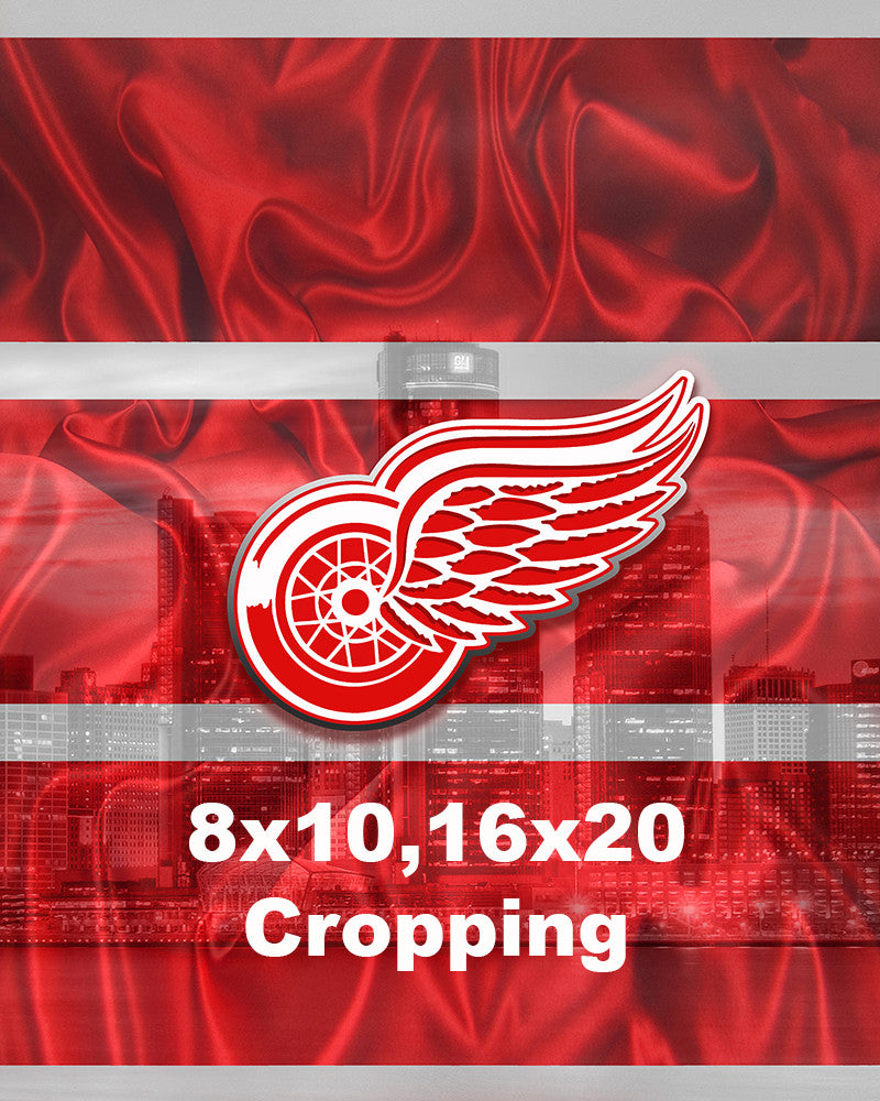  GRAPHICS & MORE NHL Detroit Red Wings Logo Gift Wrap Wrapping  Paper Rolls : Health & Household