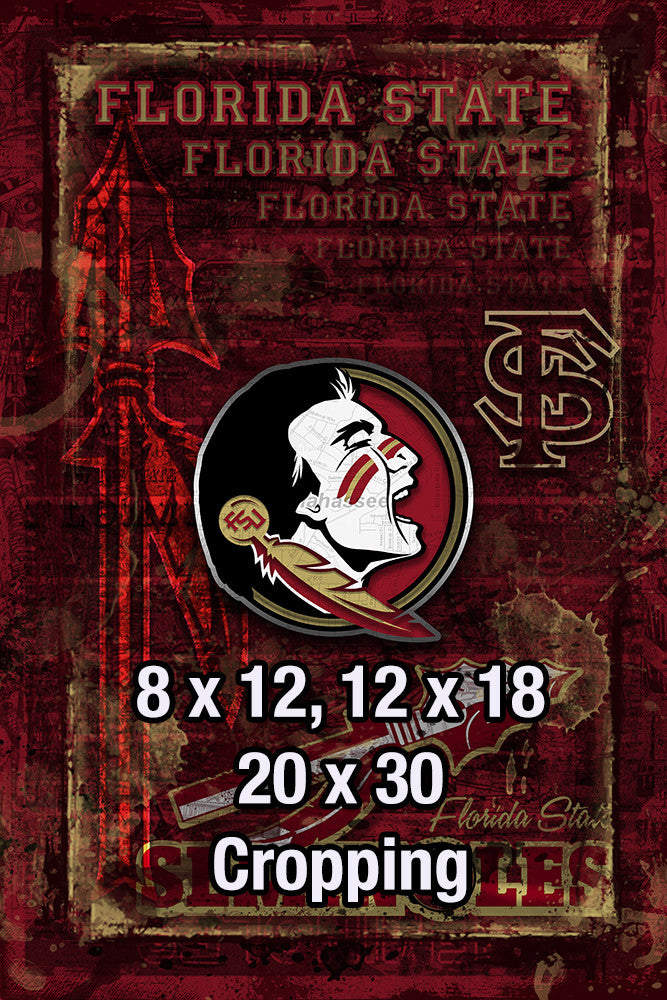 Florida State Seminoles Poster, Florida State Gift, Seminoles Man Cave ...
