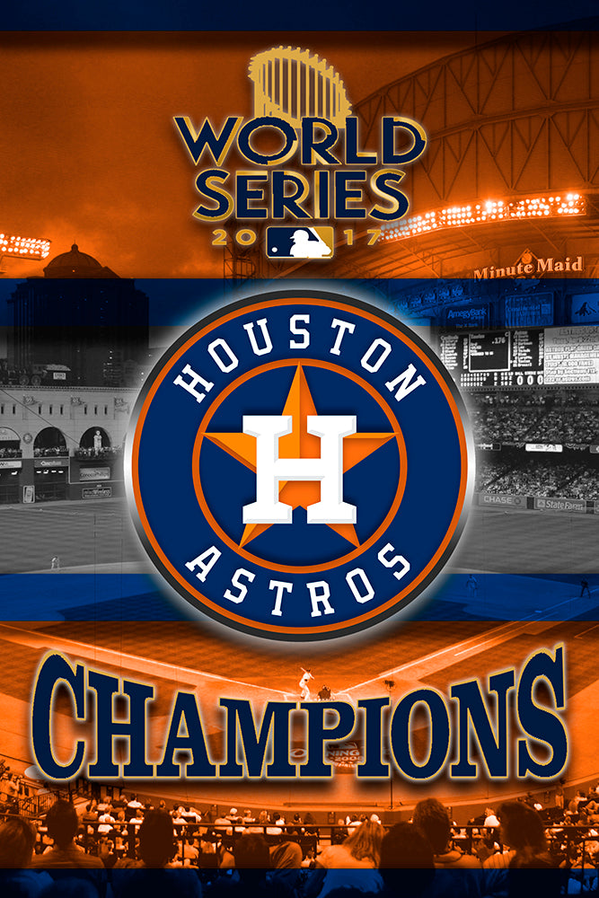 Houston Astros 2017 World Series Champions 16 x 20 Celebration